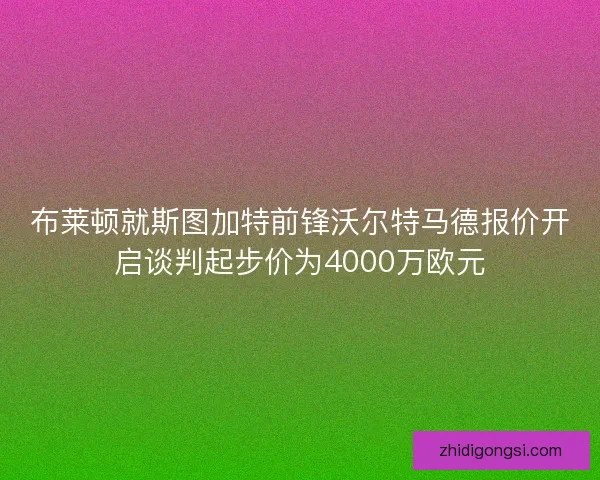 布莱顿就斯图加特前锋沃尔特马德报价开启谈判起步价为4000万欧元
