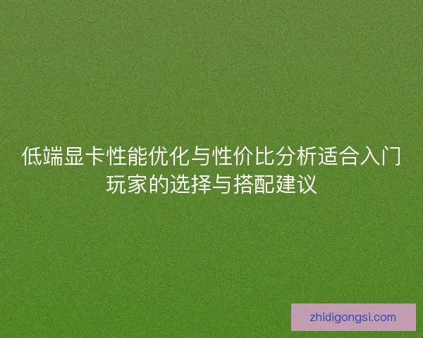 低端显卡性能优化与性价比分析适合入门玩家的选择与搭配建议