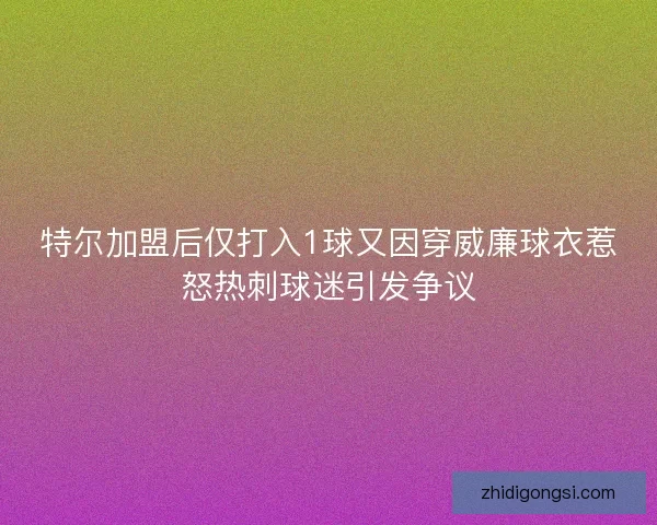 特尔加盟后仅打入1球又因穿威廉球衣惹怒热刺球迷引发争议