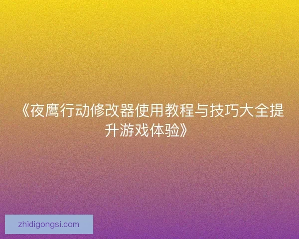 《夜鹰行动修改器使用教程与技巧大全提升游戏体验》