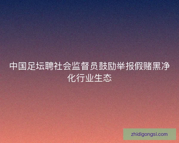 中国足坛聘社会监督员鼓励举报假赌黑净化行业生态